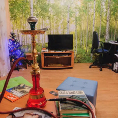 Romanov Hostel Сыктывкар интерьер отеля