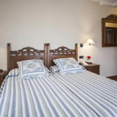 Hotel La Boriza 3* Стандартный номер с различными типами кроватей фото 13