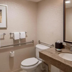Отель Hyatt Regency St. Louis at The Arch 4* Стандартный номер с 2 отдельными кроватями фото 4
