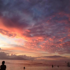 Отель My Place In Tahiti Французская Полинезия, Пунаауиа - отзывы, цены и фото номеров - забронировать отель My Place In Tahiti онлайн пляж