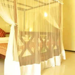 Отель Green Villa 3* Стандартный номер с различными типами кроватей фото 4