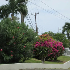 Отель Paradise Inn