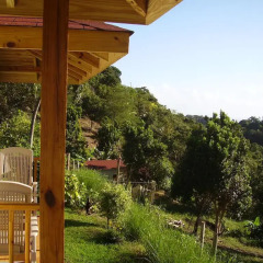 Отель Teresinajamaica 3* Стандартный номер