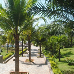 Отель Lotus Muine Resort & Spa Вьетнам, Фантхьет - отзывы, цены и фото номеров - забронировать отель Lotus Muine Resort & Spa онлайн фото 7