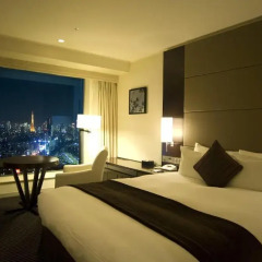 Shinagawa Prince Hotel 3* Стандартный номер с двуспальной кроватью фото 19