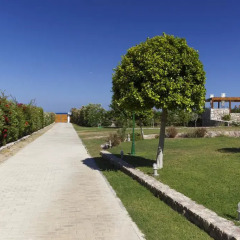 Отель Belvedere Beachfront Villa