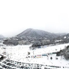 Отель Yongpyong Resort Dragon Valley Hotel Южная Корея, Пхёнчан - отзывы, цены и фото номеров - забронировать отель Yongpyong Resort Dragon Valley Hotel онлайн фото 3
