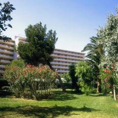 Hotel Barracuda - Adults Only