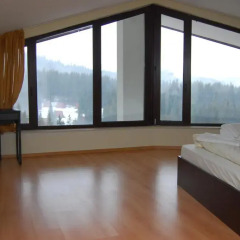 Апартаменты Elit Pamporovo Apartments Люкс с различными типами кроватей фото 8