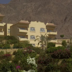 Отель La Playa Beach Resort Taba 5* Стандартный номер с различными типами кроватей фото 5