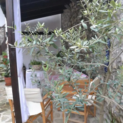 Отель Bujtina Kodiket Guesthouse Албания, Берат - отзывы, цены и фото номеров - забронировать отель Bujtina Kodiket Guesthouse онлайн фото 5