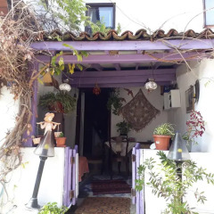Отель Dionysos Pension