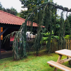 Отель Quinta Das Eiras Машику фото 2