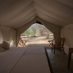Отель Yala National Park Camping Другое фото 3