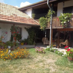 Отель House Gabri Болгария, Тырговиште - отзывы, цены и фото номеров - забронировать отель House Gabri онлайн фото 7