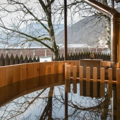 Гостиница Вилла Mountain Villas Вилла с различными типами кроватей фото 19