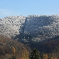 Отель FeWo Harz Haennig 1 фото 10