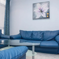 Апартаменты Elite Apartments комната для гостей фото 6