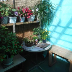 Jgh Tokyo Hostel Митака балкон
