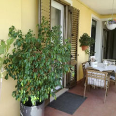 Отель B&b Sogni d'Oro Чивитанова-Марке фото 2