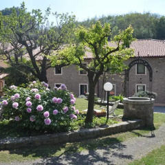 Отель B&B Ca' Lauro Италия, Региональный парк Colli Euganei - отзывы, цены и фото номеров - забронировать отель B&B Ca' Lauro онлайн фото 5