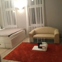 Апартаменты Studio Apartament Centrum Katowice Апартаменты с различными типами кроватей фото 11