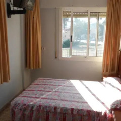 Отель Hostal El Palmeral Ориуэла комната для гостей фото 3