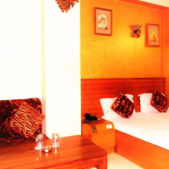 Hotel Maharaja Continental Номер Делюкс с различными типами кроватей фото 11