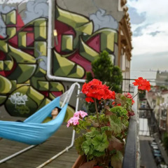 Hush Hostel Lounge бассейн