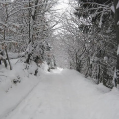 Отель Krutogora Буковель балкон