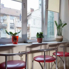 Lviv Euro hostel гостиничный бар