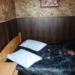 Гостиница Guest House Safari Стандартный номер с разными типами кроватей фото 4