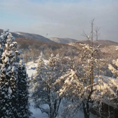 Отель Lillafüred Kapuja Hotel Венгрия, Силвашварад - отзывы, цены и фото номеров - забронировать отель Lillafüred Kapuja Hotel онлайн фото 2