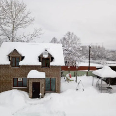 Гостиница guest house Elizaveta