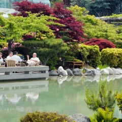 Отель Inn at Laurel Point Канада, Виктория - отзывы, цены и фото номеров - забронировать отель Inn at Laurel Point онлайн приотельная территория