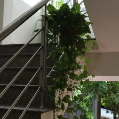 Отель Honoi Homestay балкон