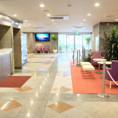 Day Nice Hotel Tokyo интерьер отеля фото 3