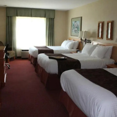 Отель BEST WESTERN PLUS Valemount Inn & Suites 3* Стандартный номер с различными типами кроватей