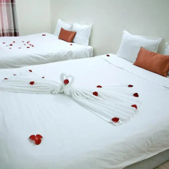 Avi Airport Hotel 2* Улучшенный номер с 2 отдельными кроватями фото 2
