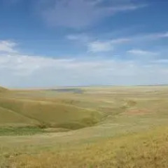 Гостиница Guest House The Elista Village в Элисте отзывы, цены и фото номеров - забронировать гостиницу Guest House The Elista Village онлайн Элиста приотельная территория