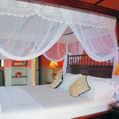 Отель Spring House Bequia 3* Люкс с различными типами кроватей фото 7