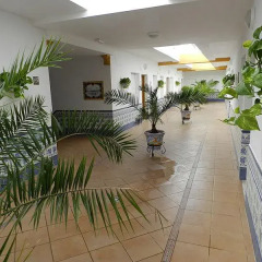 Отель Apartamentos Conil Alquila Испания, Кониль-де-ла-Фронтера - отзывы, цены и фото номеров - забронировать отель Apartamentos Conil Alquila онлайн