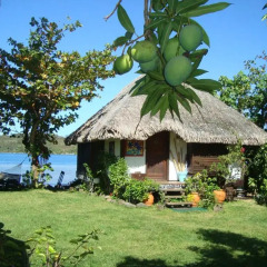Отель Bora Bora Bungalove Французская Полинезия, Бора-Бора - отзывы, цены и фото номеров - забронировать отель Bora Bora Bungalove онлайн фото 20