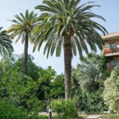 Отель Residence Nice Les Palmiers фото 19