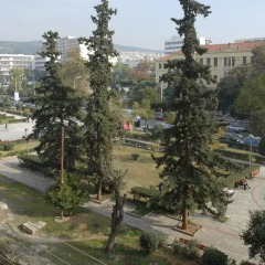 Отель Rentrooms Thessaloniki 3* Кровать в женском общем номере фото 4