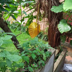 Отель Highbury Colombo Шри-Ланка, Коломбо - отзывы, цены и фото номеров - забронировать отель Highbury Colombo онлайн фото 19
