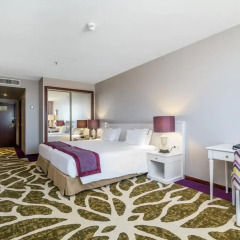 Отель Holiday Inn Porto Gaia 4* Стандартный номер с 2 отдельными кроватями