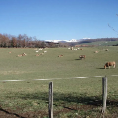 Отель Casa Rural Irugoienea фото 2