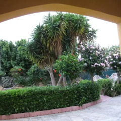 Отель Villa Serena Италия, Сиракуза - отзывы, цены и фото номеров - забронировать отель Villa Serena онлайн фото 3