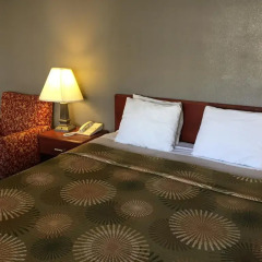 Отель Buena Vista Motor Inn комната для гостей фото 4